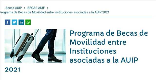 programa becas auip 2021