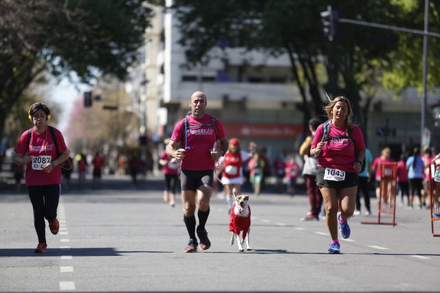 Maratón UNLP Delfor De la Canal 2018