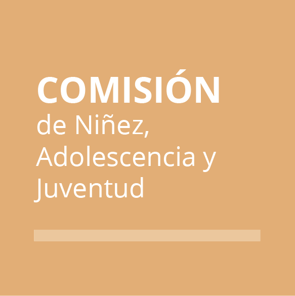 Comisión de Niñez, Adolescencia y Juventud