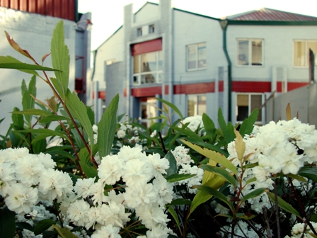 Albergue Universitario. Tu lugar en la UNLP