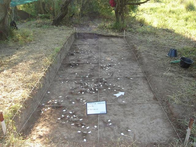 Investigaciones Arqueológicas en la costa bonaerense