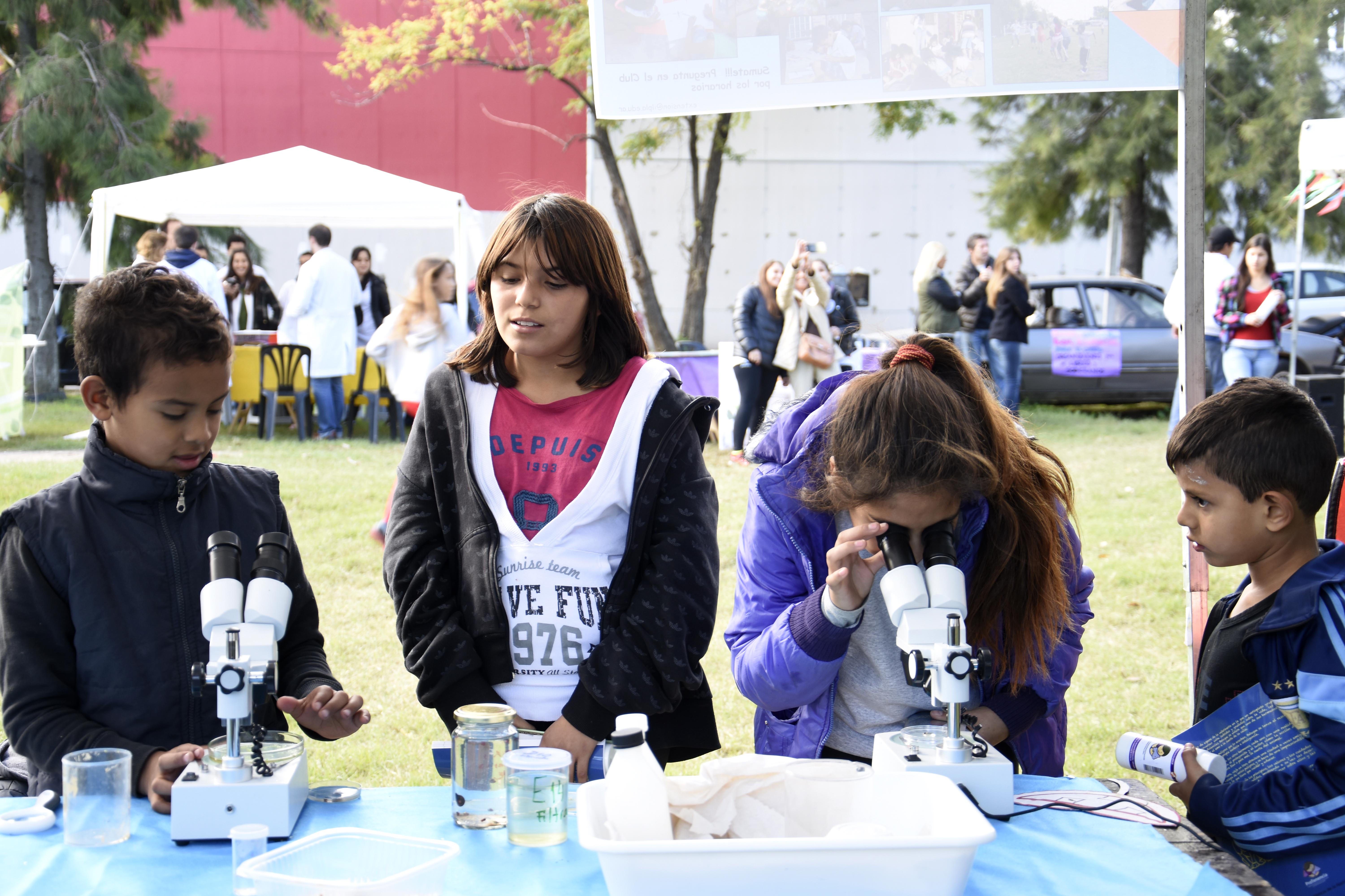 Programas, Proyectos y Actividades.